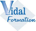 Vidal_logo